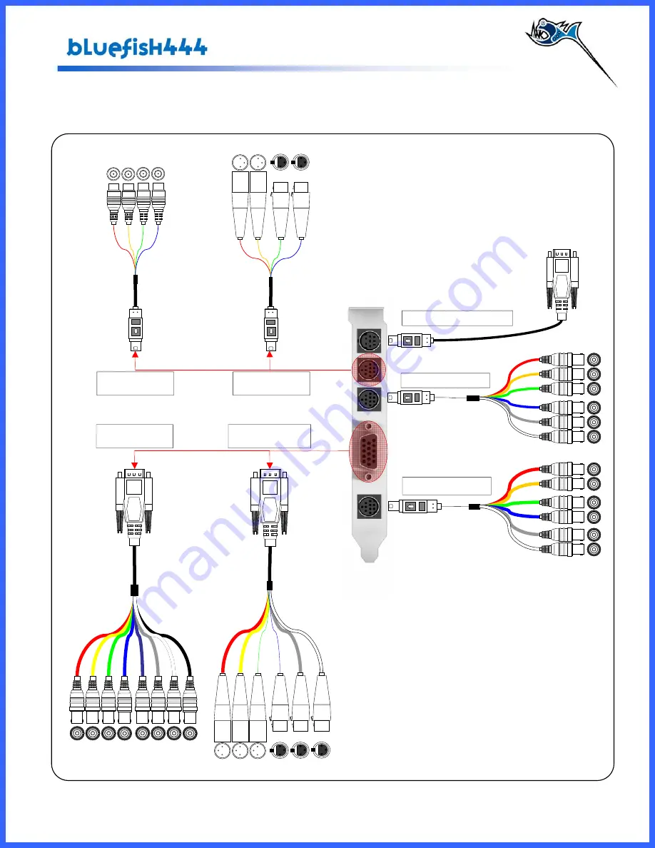 Bluefish444 SD Fidelity Скачать руководство пользователя страница 20