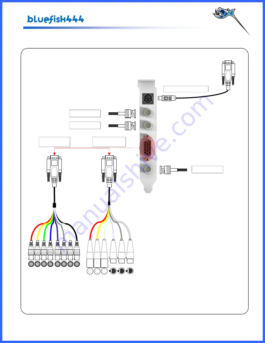 Bluefish444 SD Fidelity User Manual Download Page 21