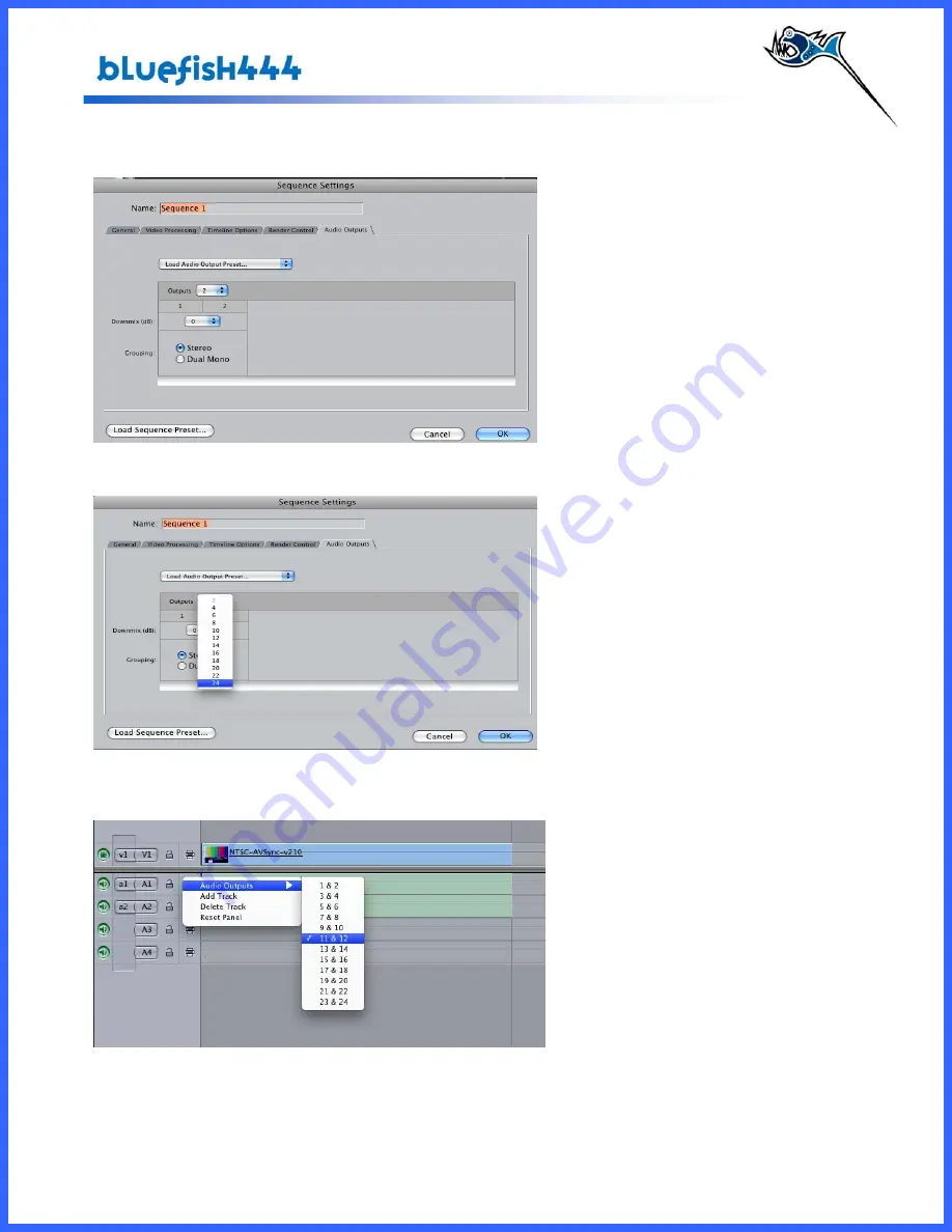 Bluefish444 SD Fidelity User Manual Download Page 52