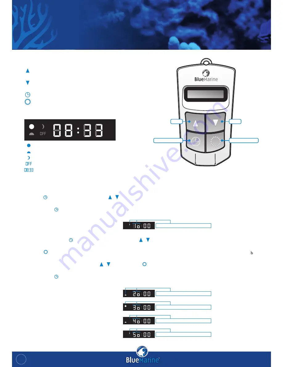 BlueMarine Reef 200 Instruction Manual Download Page 24