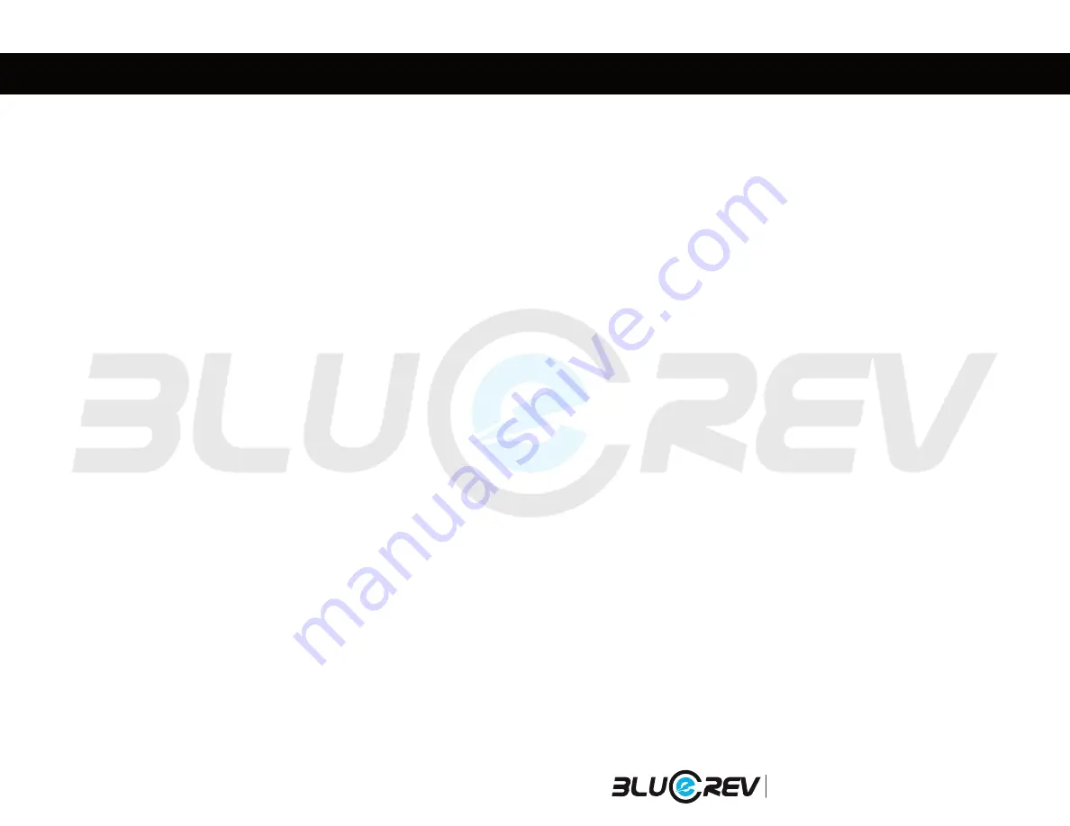 BLUEREV CANADIAN User Manual Download Page 6