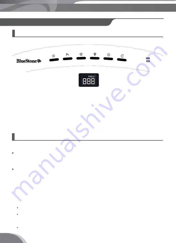 Bluestone APB-9545 User Manual Download Page 10