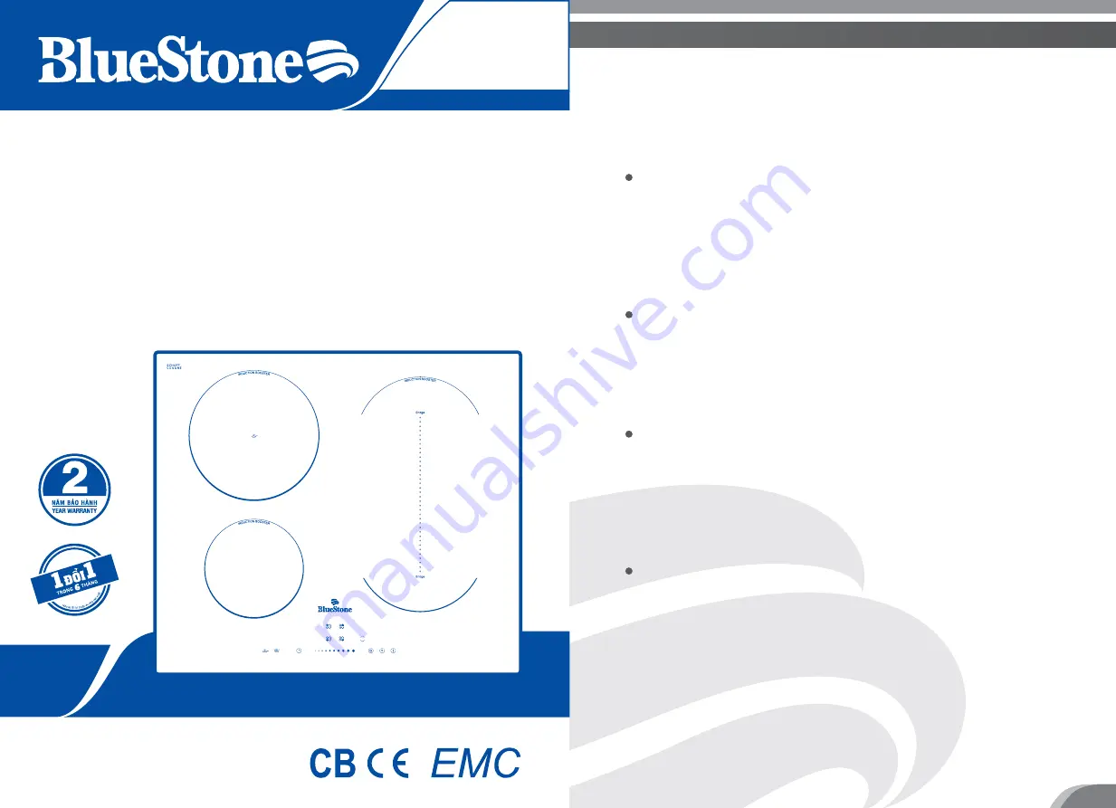 Bluestone ICB-6845 User Manual Download Page 9