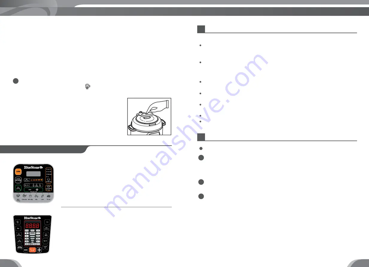 Bluestone PCB-5748 User Manual Download Page 12