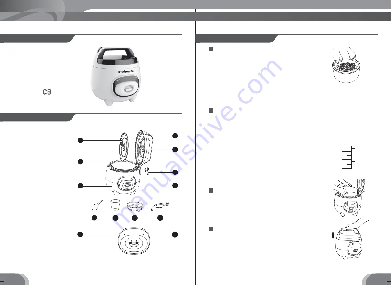 Bluestone RCB-5515 User Manual Download Page 3