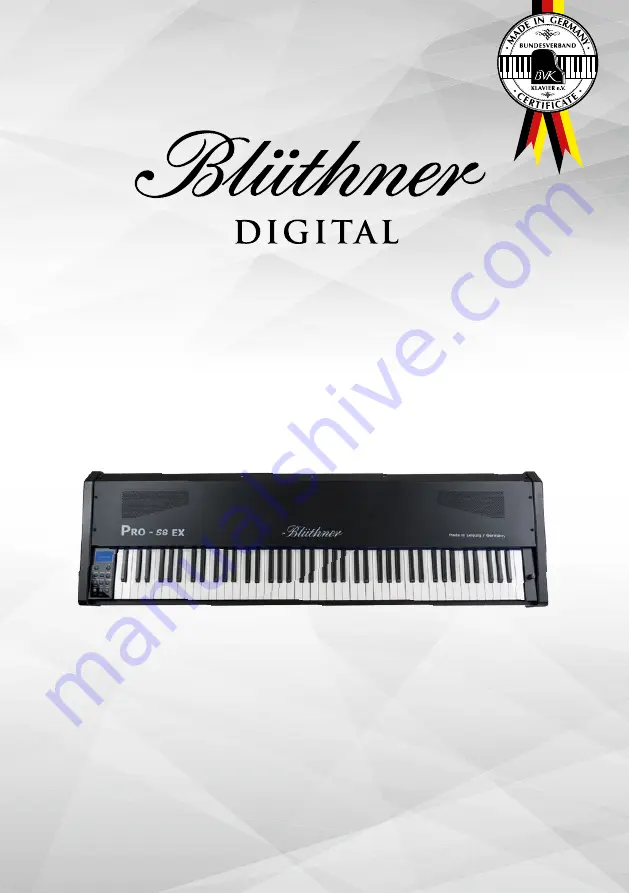 bluthner PRO-88 EX Скачать руководство пользователя страница 1