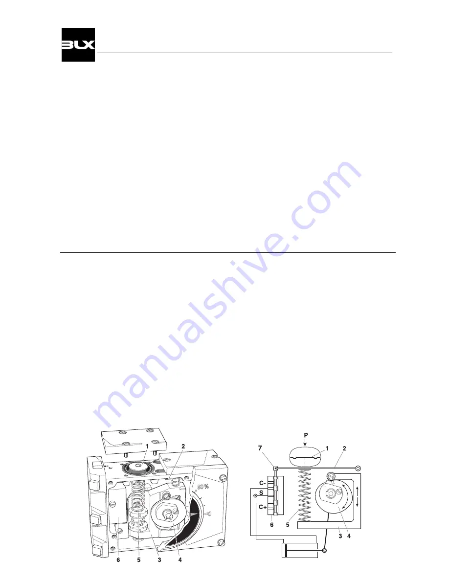 BLX v100 positioner Скачать руководство пользователя страница 4