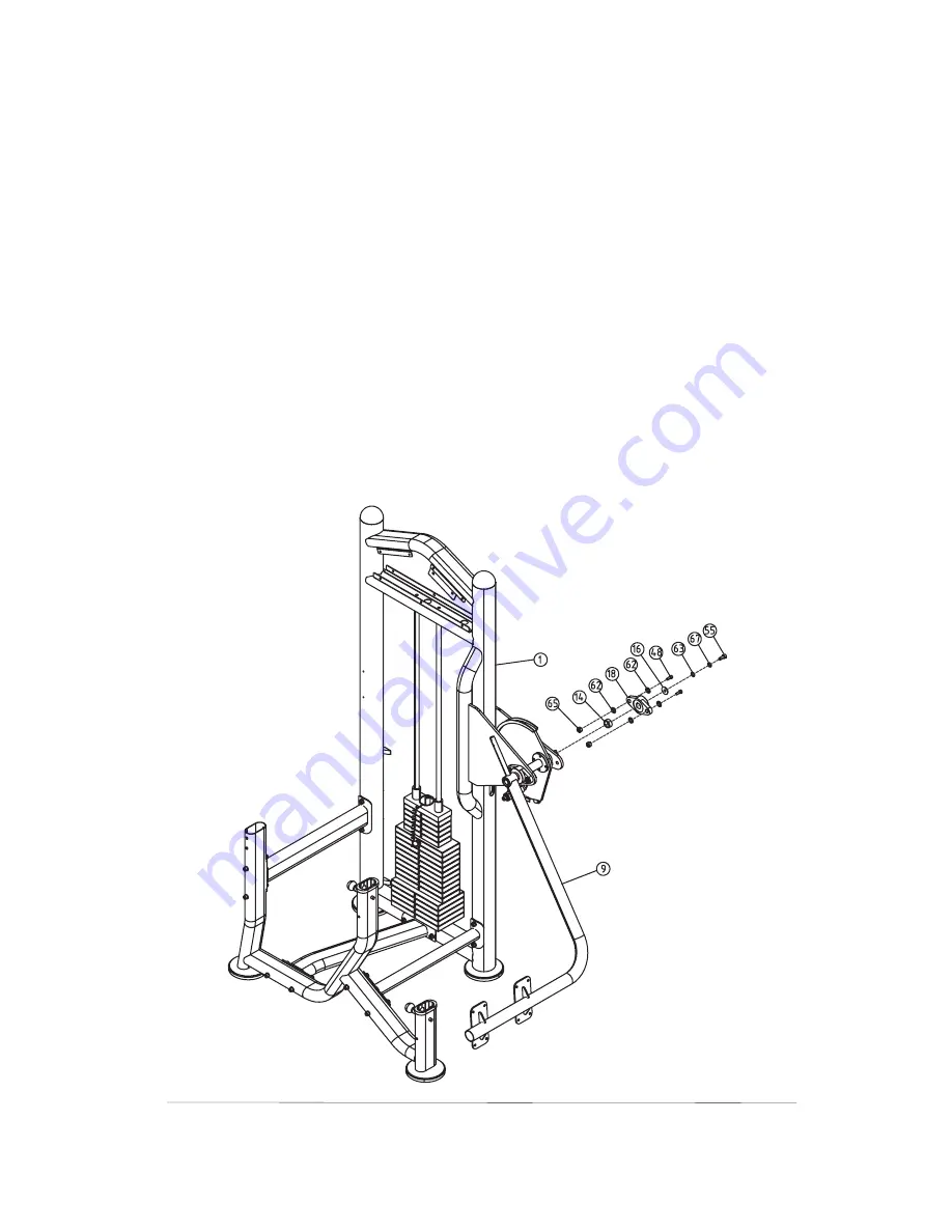 BM FITNESS IMPULSE 2 IT8026 Glute Master Скачать руководство пользователя страница 14