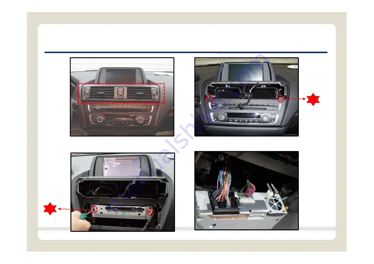 BMW BMW-APIX-PAS-TDM Manual Download Page 41