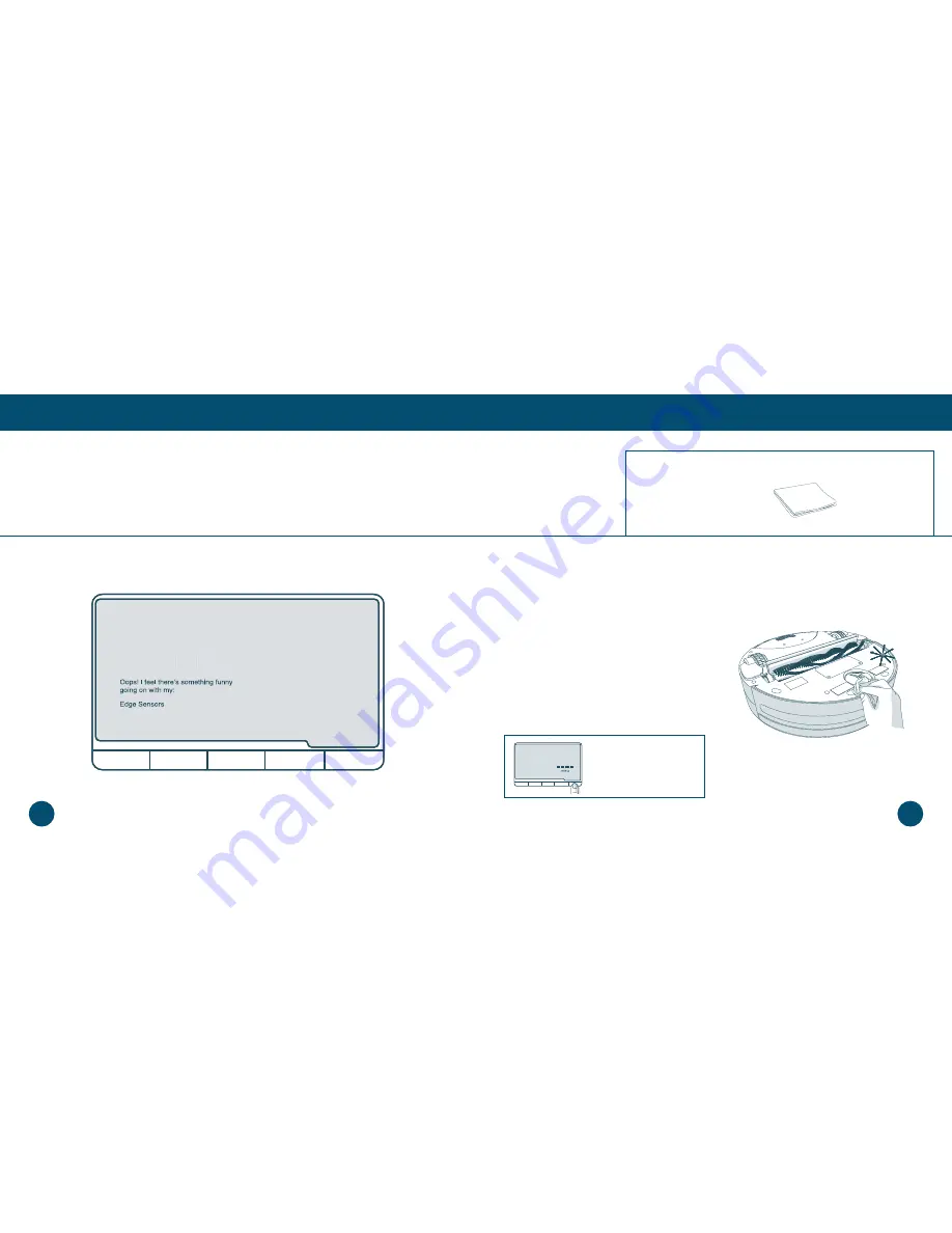 bObsweep Bob PetHair Plus Owner'S Manual Download Page 44