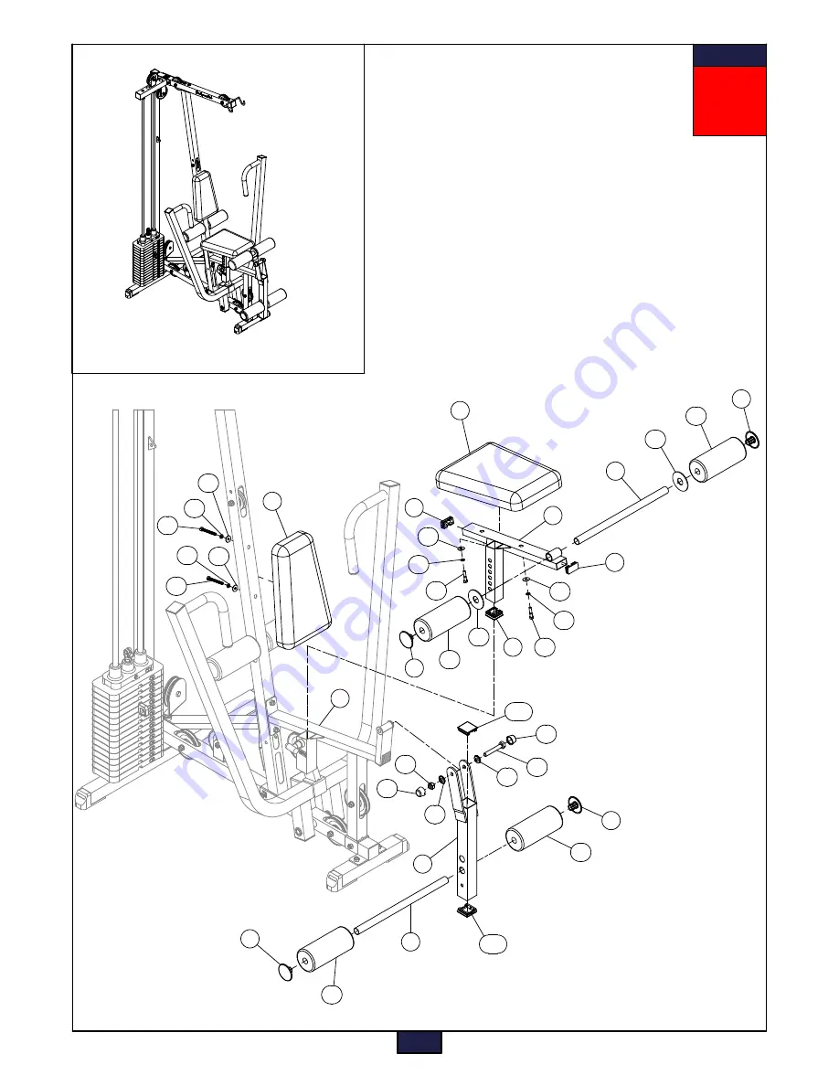 Body Solid EMX1500.4 Скачать руководство пользователя страница 8