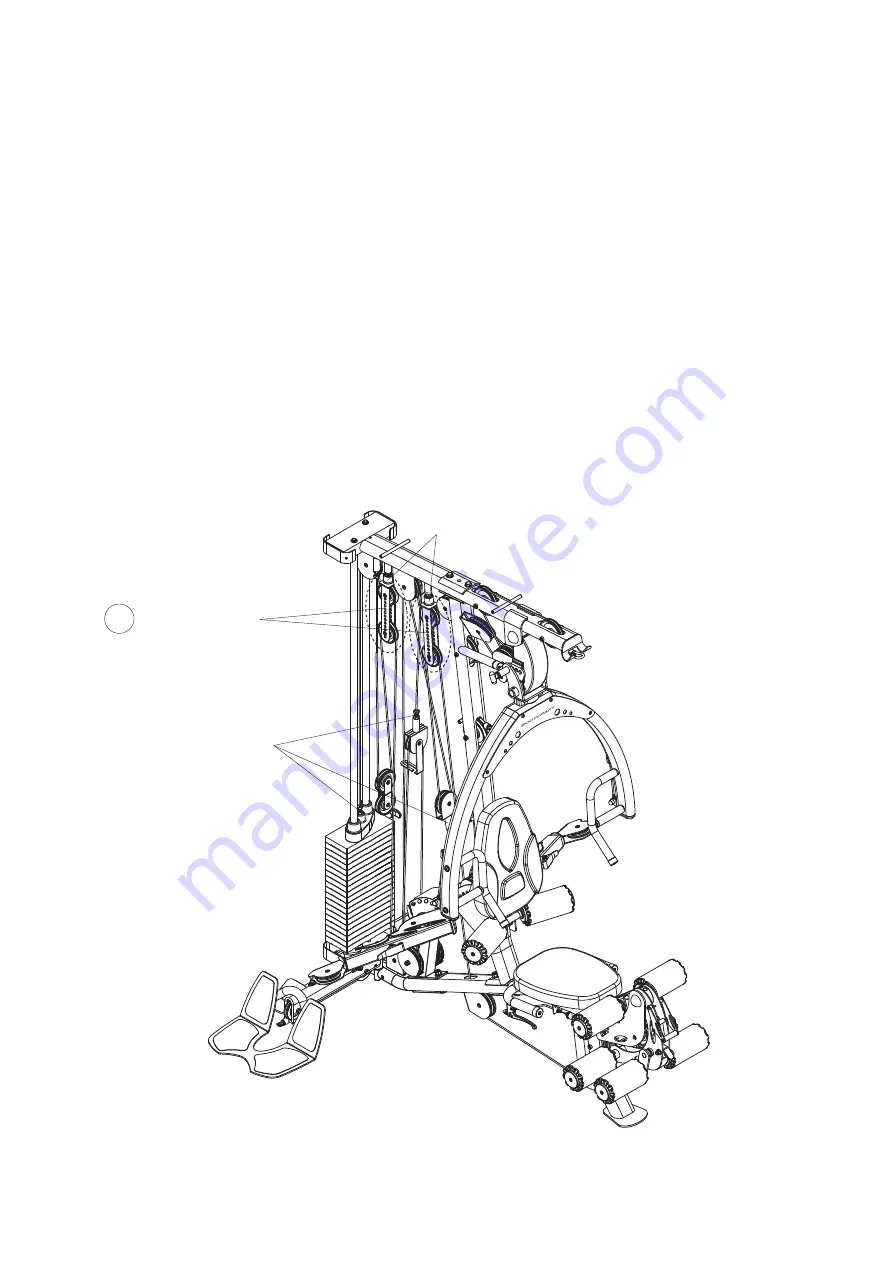 BodyCraft EliteV4 Скачать руководство пользователя страница 26