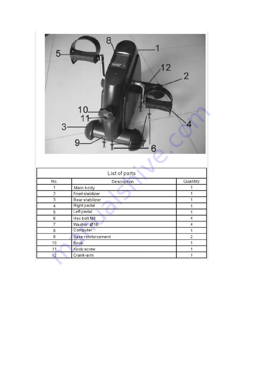 BODYFLEX CHAPO BF-T12 Скачать руководство пользователя страница 11