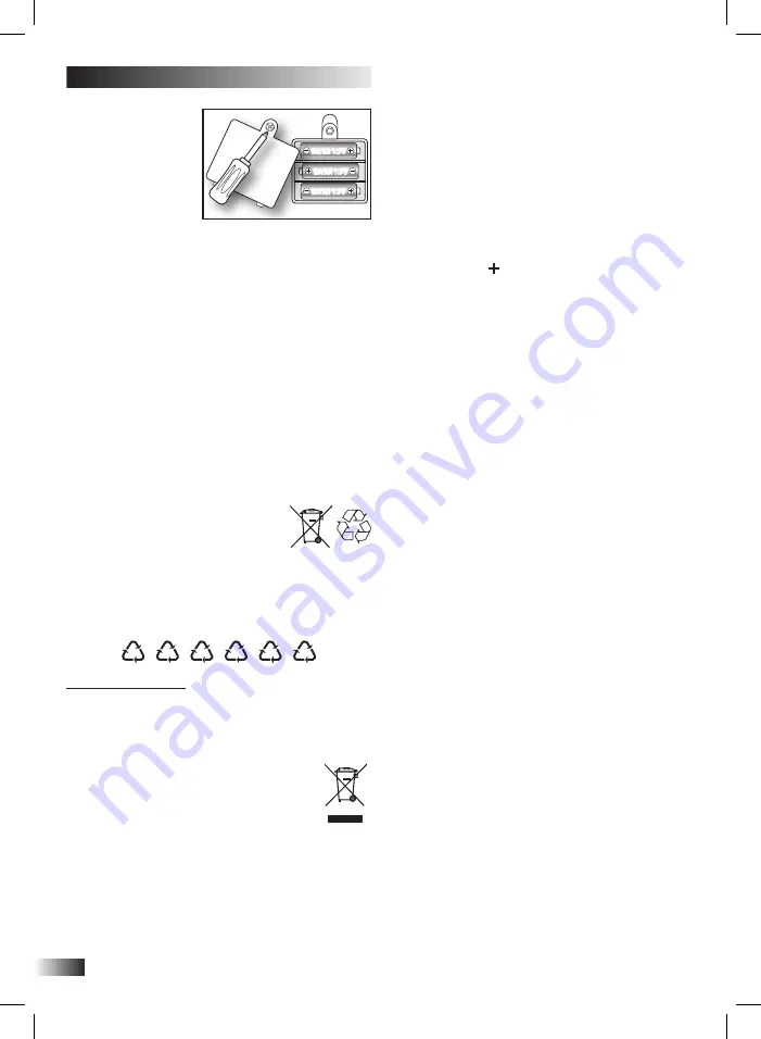 Bontempi iGirl 13 2410 Скачать руководство пользователя страница 10