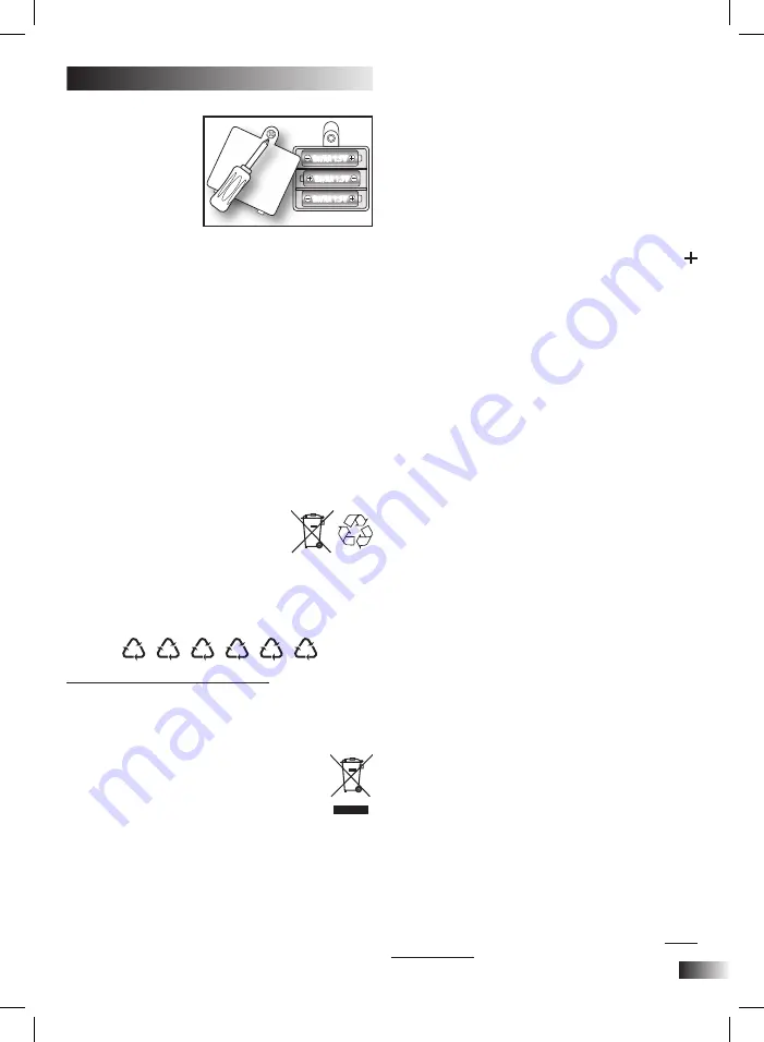 Bontempi iGirl 13 2410 Скачать руководство пользователя страница 11