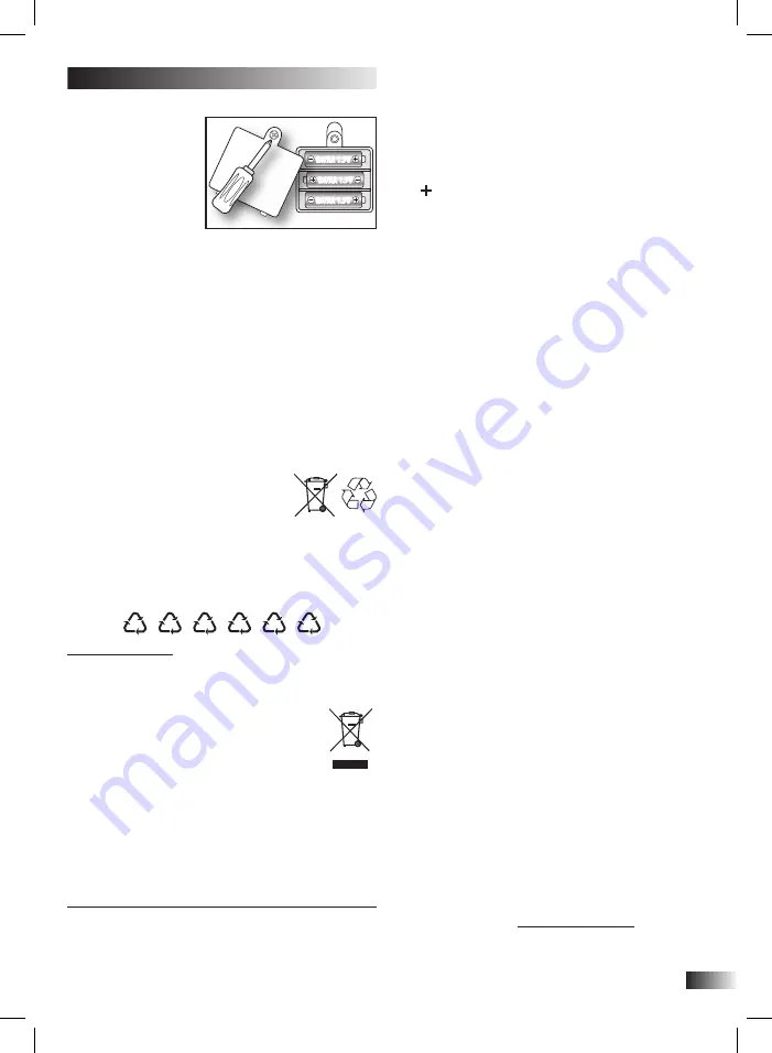 Bontempi iGirl 13 2410 Скачать руководство пользователя страница 13