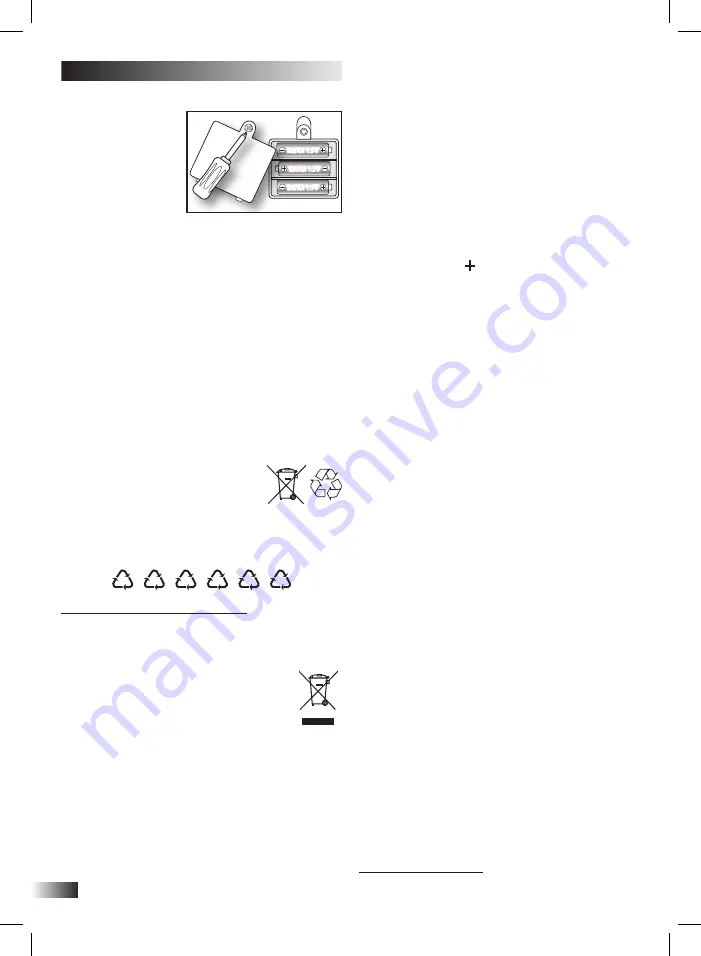 Bontempi iGirl 13 2410 Скачать руководство пользователя страница 14