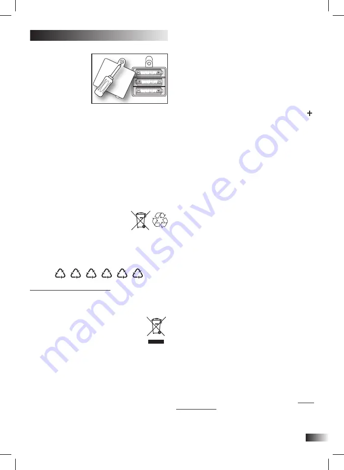 Bontempi iGirl 13 2410 Скачать руководство пользователя страница 15