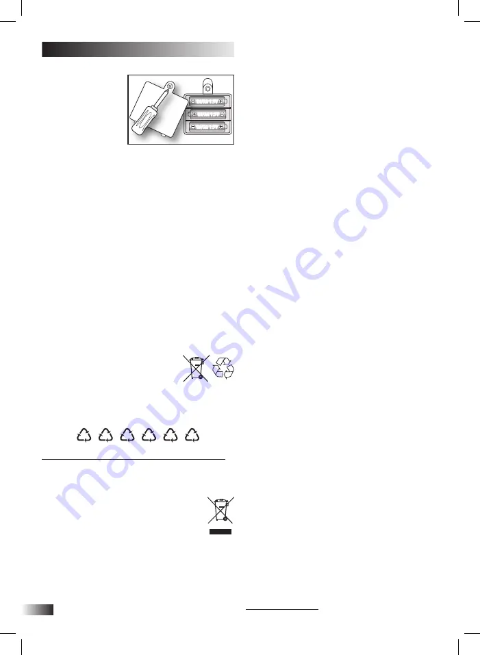 Bontempi iGirl 13 2410 Скачать руководство пользователя страница 22