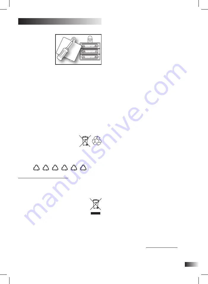 Bontempi iGirl 13 2410 Скачать руководство пользователя страница 23