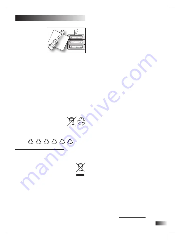 Bontempi iGirl 13 2410 Скачать руководство пользователя страница 29