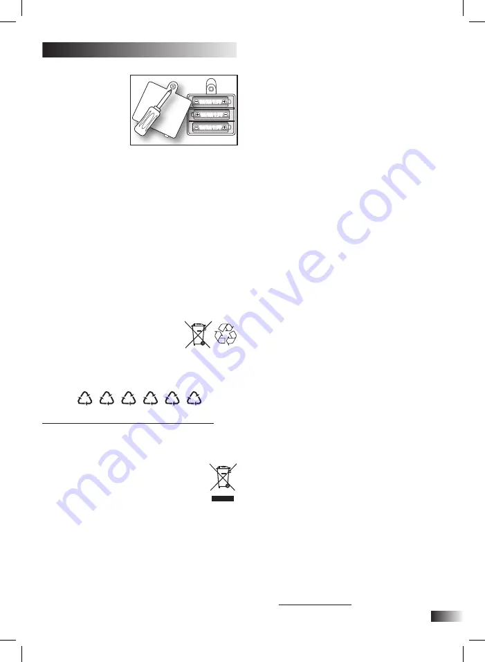 Bontempi iGirl 13 2410 Скачать руководство пользователя страница 31