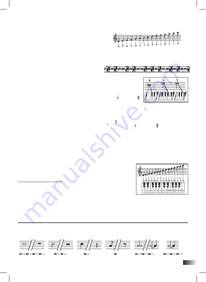 Bontempi MUSIC ACADEMY School 15 3785 Owner'S Manual Download Page 43