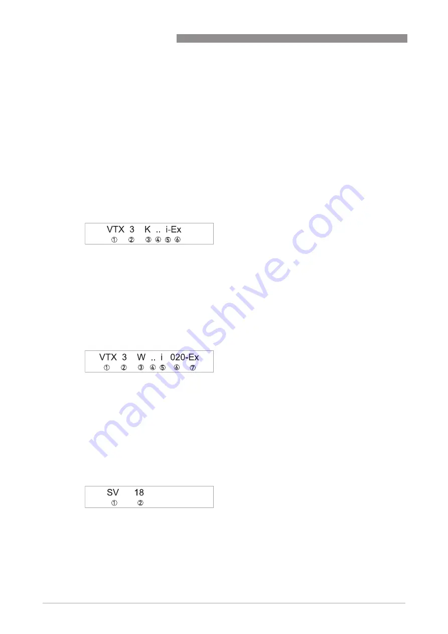 Bopp & Reuther Vortex VTX3 K i Ex Supplementary Instructions Manual Download Page 4