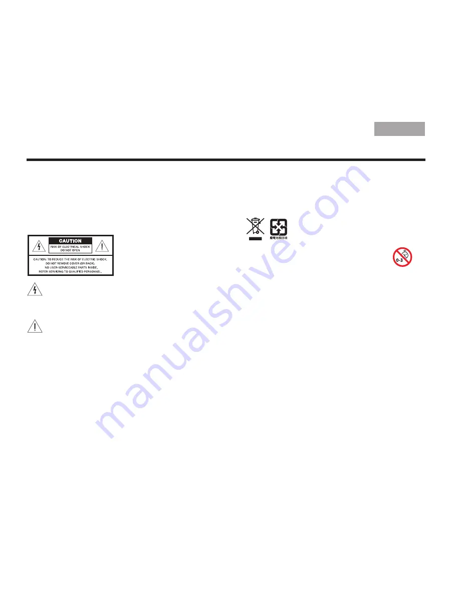 Bose VIDEOWAVE II Setup Manual Download Page 2