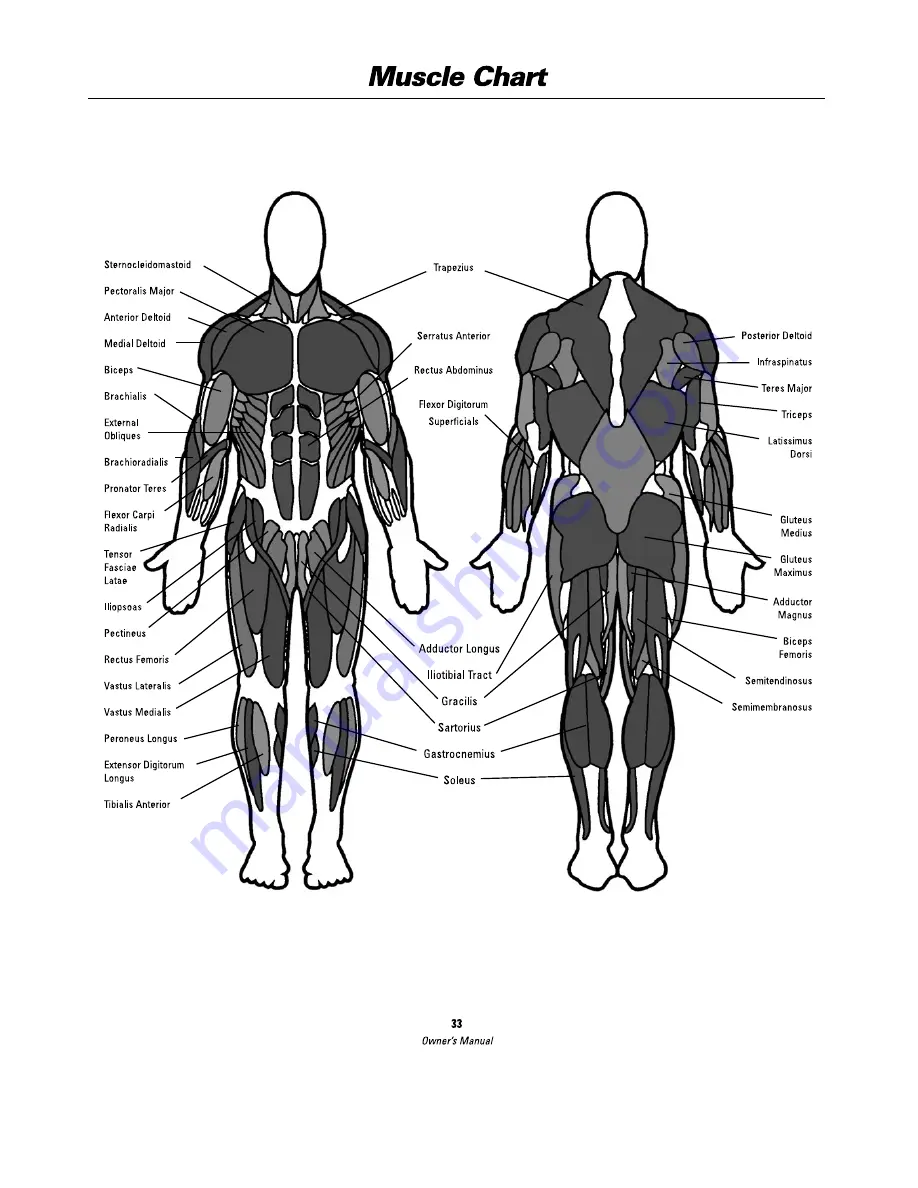 Bowflex SelectTech BD552 Owner'S Manual Download Page 33