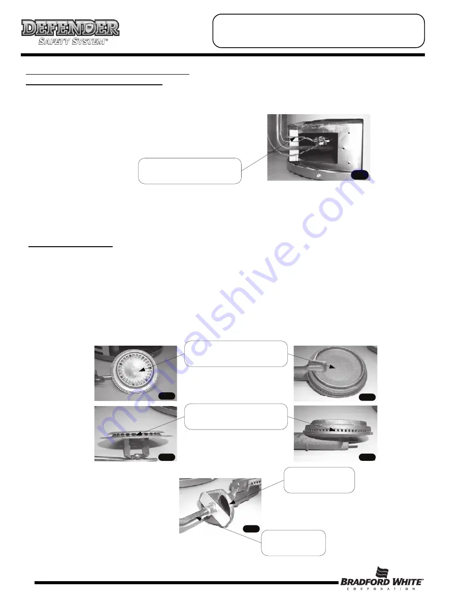 Bradford White 50T65F Скачать руководство пользователя страница 18