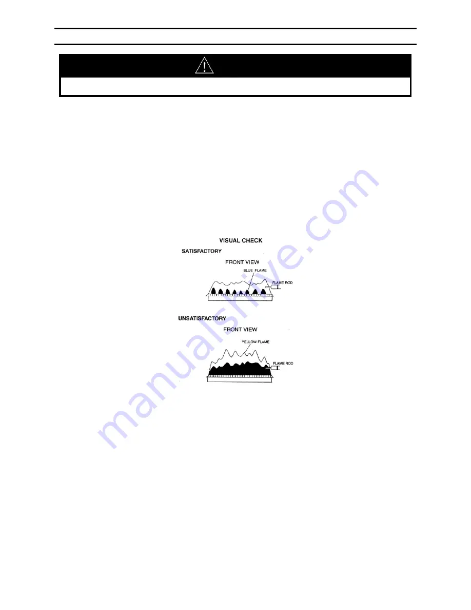 Bradford White BRADFORD WHITE EVERHOT TG-150I-N(X) Скачать руководство пользователя страница 68