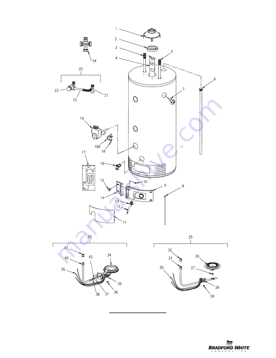 Bradford White CDW2504T10FCX Скачать руководство пользователя страница 2