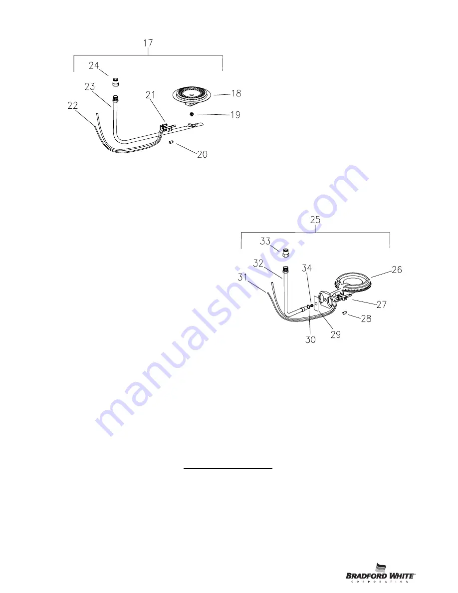 Bradford White CDW2504T10FCX Скачать руководство пользователя страница 8