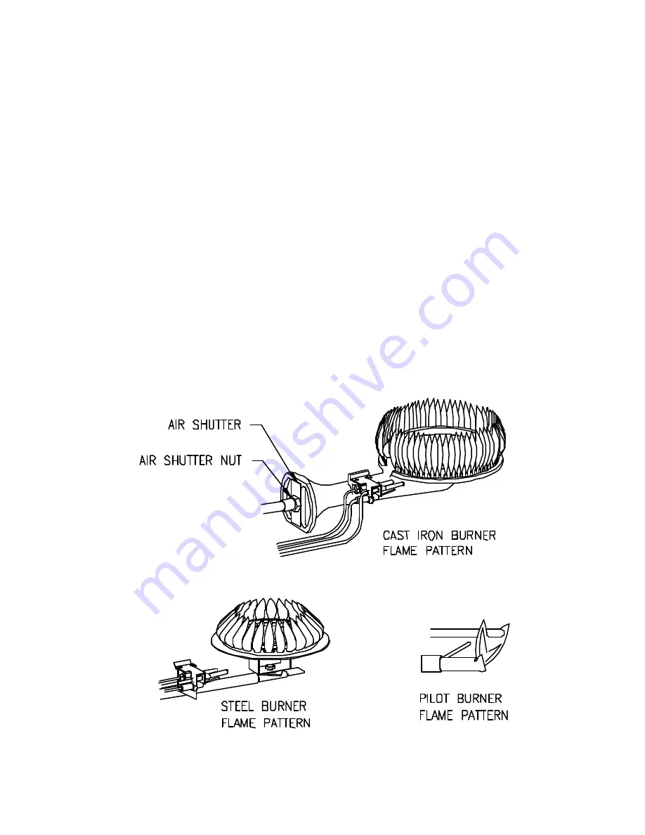 Bradford White Convection Heater Скачать руководство пользователя страница 20