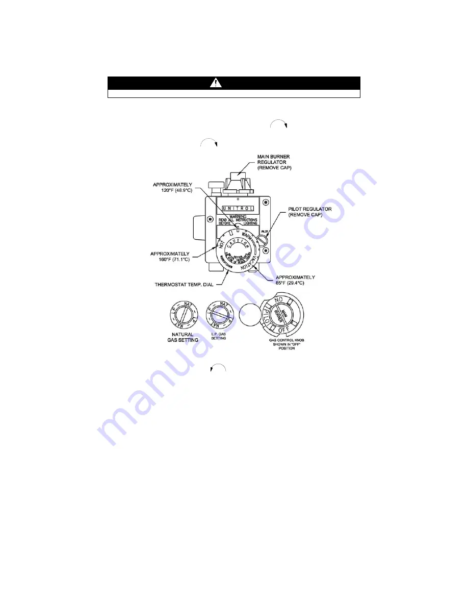 Bradford White RG2DVMH30T6X-264 Скачать руководство пользователя страница 16