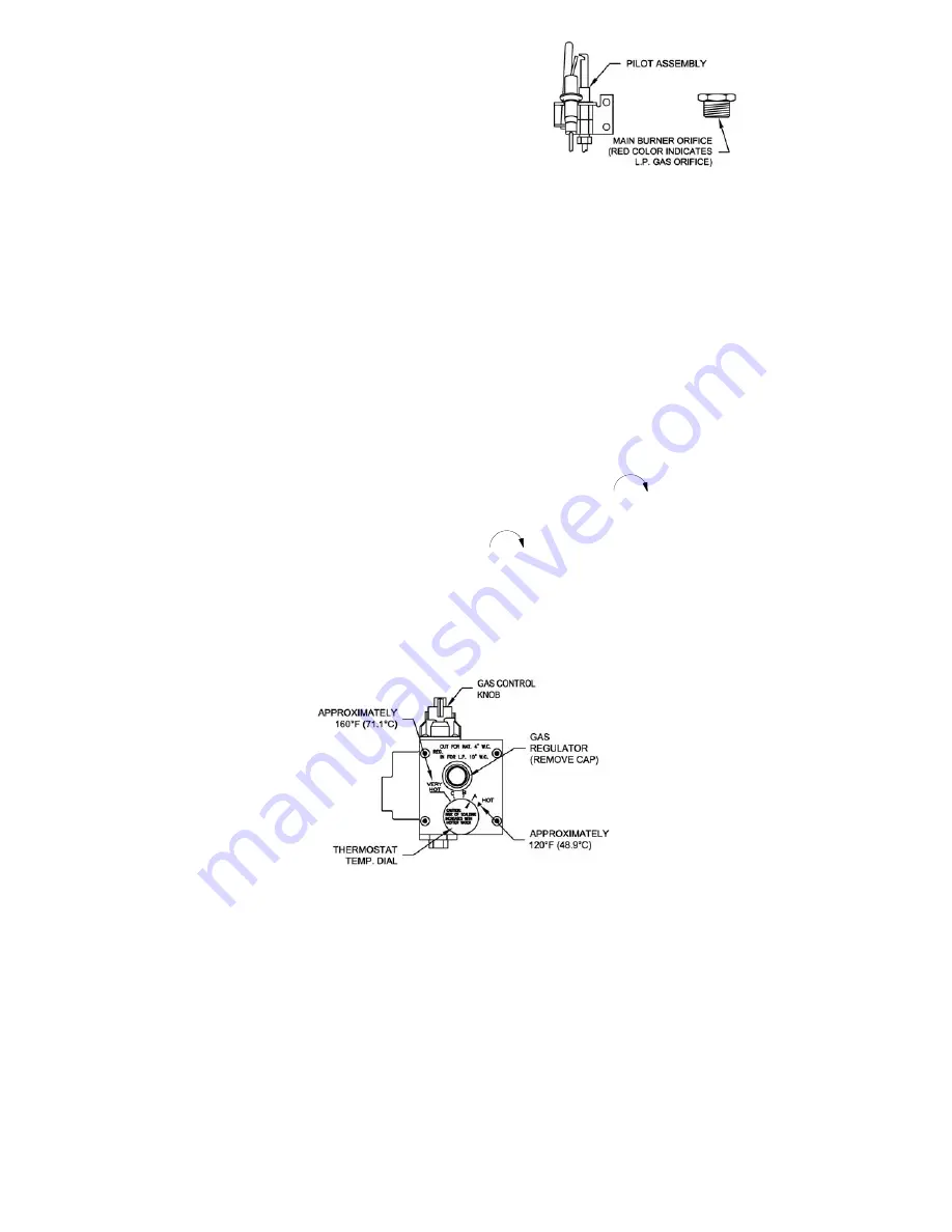 Bradford White RG2DVMH30T6X-264 Скачать руководство пользователя страница 17