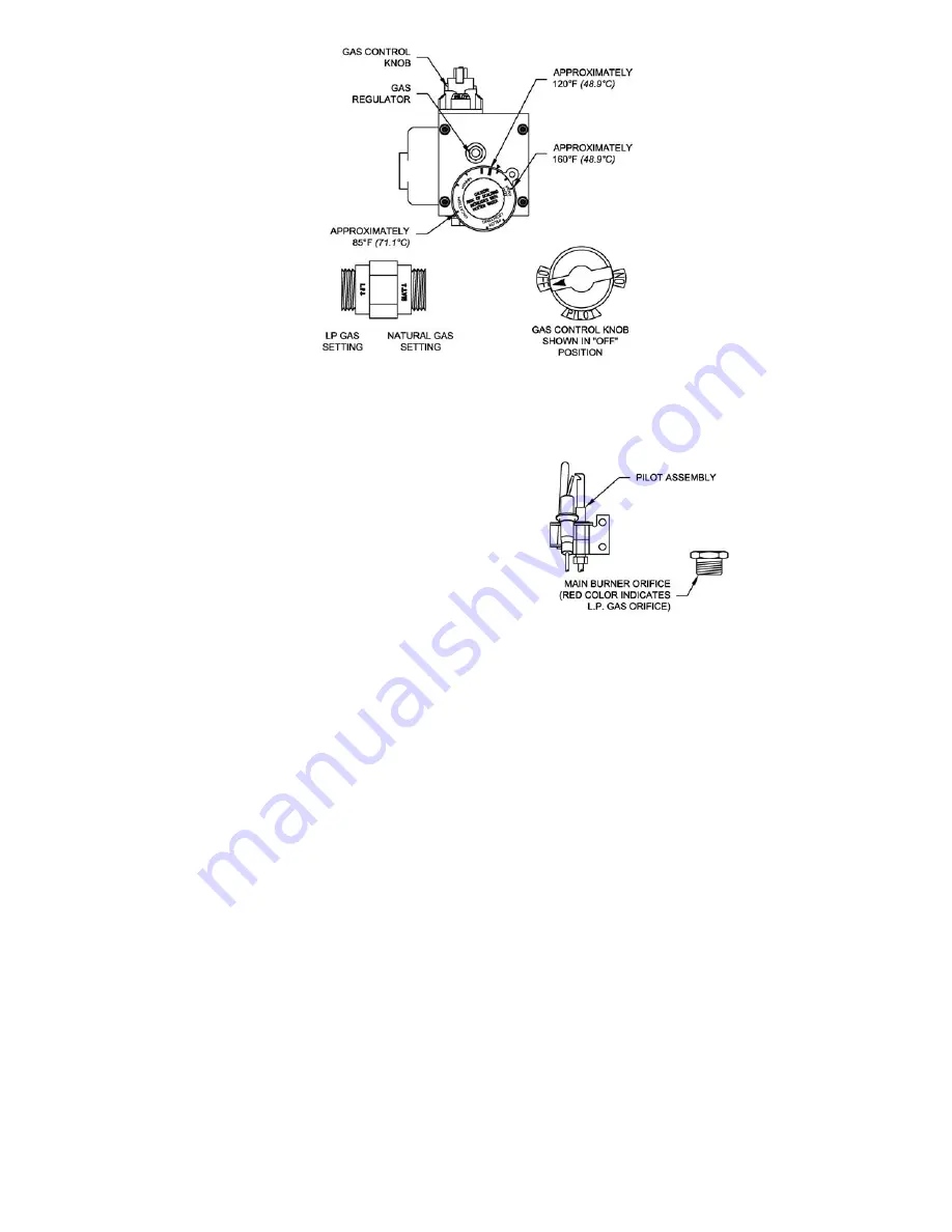 Bradford White RG2DVMH30T6X-264 Скачать руководство пользователя страница 19