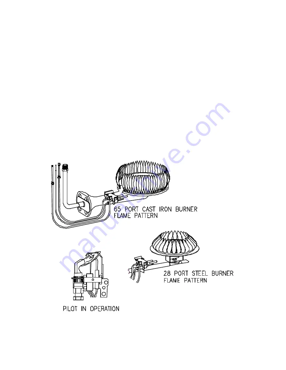 Bradford White THROUGH-THE-WALL GAS WATER HEATER Скачать руководство пользователя страница 36