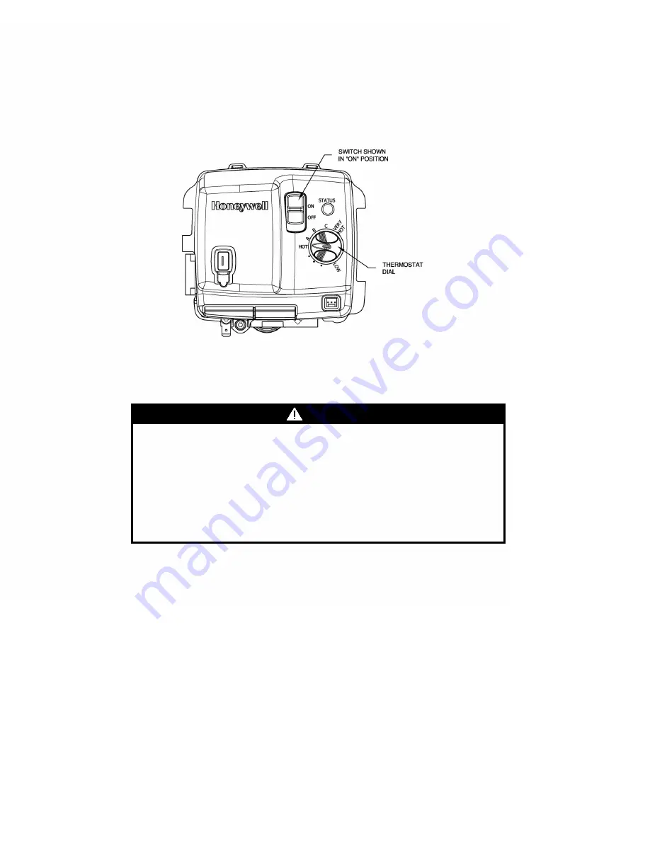 Bradford White TTW RG1PV55H6N-475 Скачать руководство пользователя страница 31