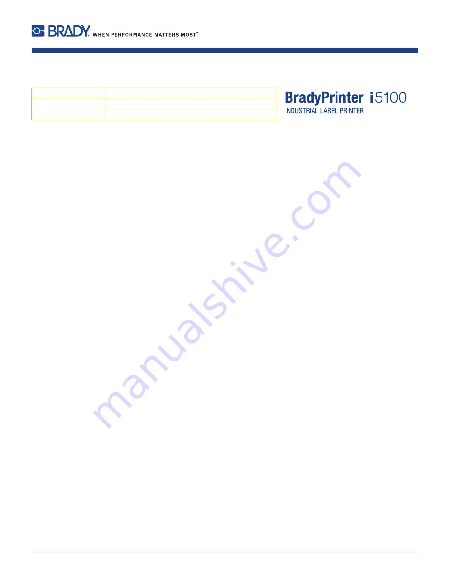 Brady BradyPrinter i5100 Скачать руководство пользователя страница 4