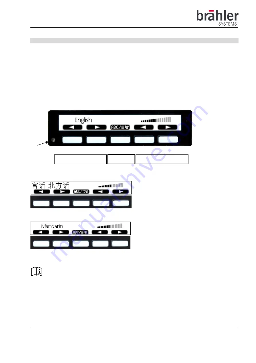 Brähler Systems DIGIMIC CMic CSV Скачать руководство пользователя страница 4