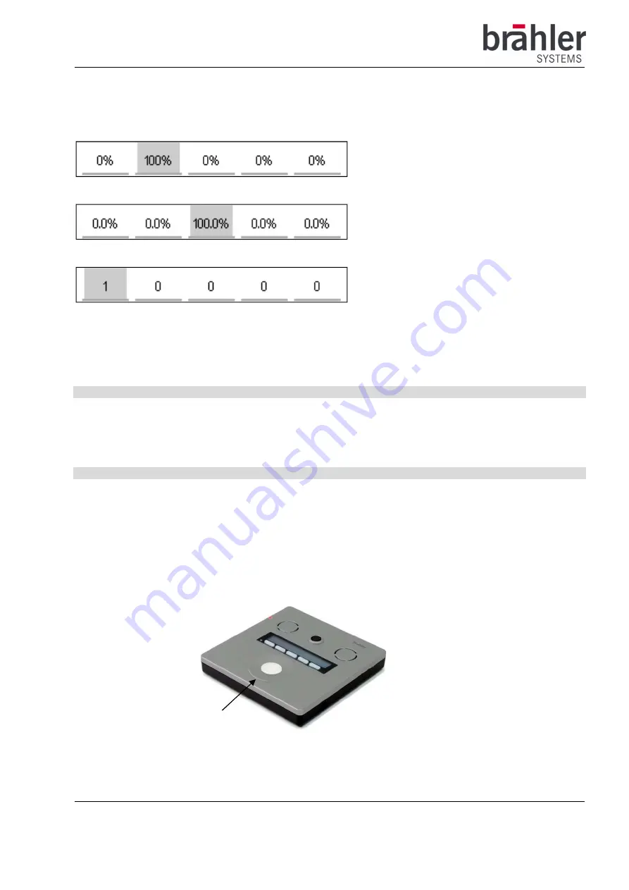 Brähler Systems DIGIMIC CMic CSV Quick Manual Download Page 6