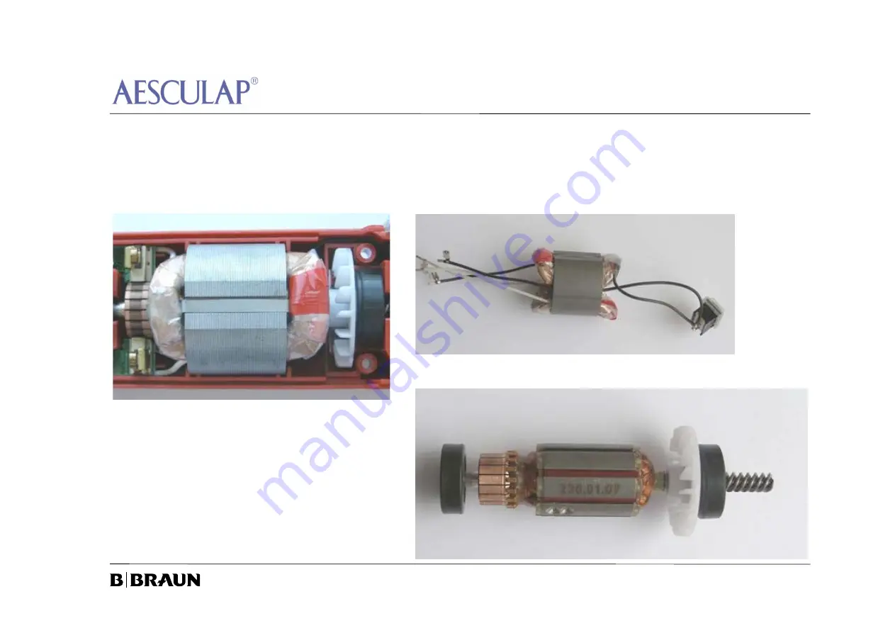 Braun Aesculap Favorita II Maintenance And Care Download Page 12