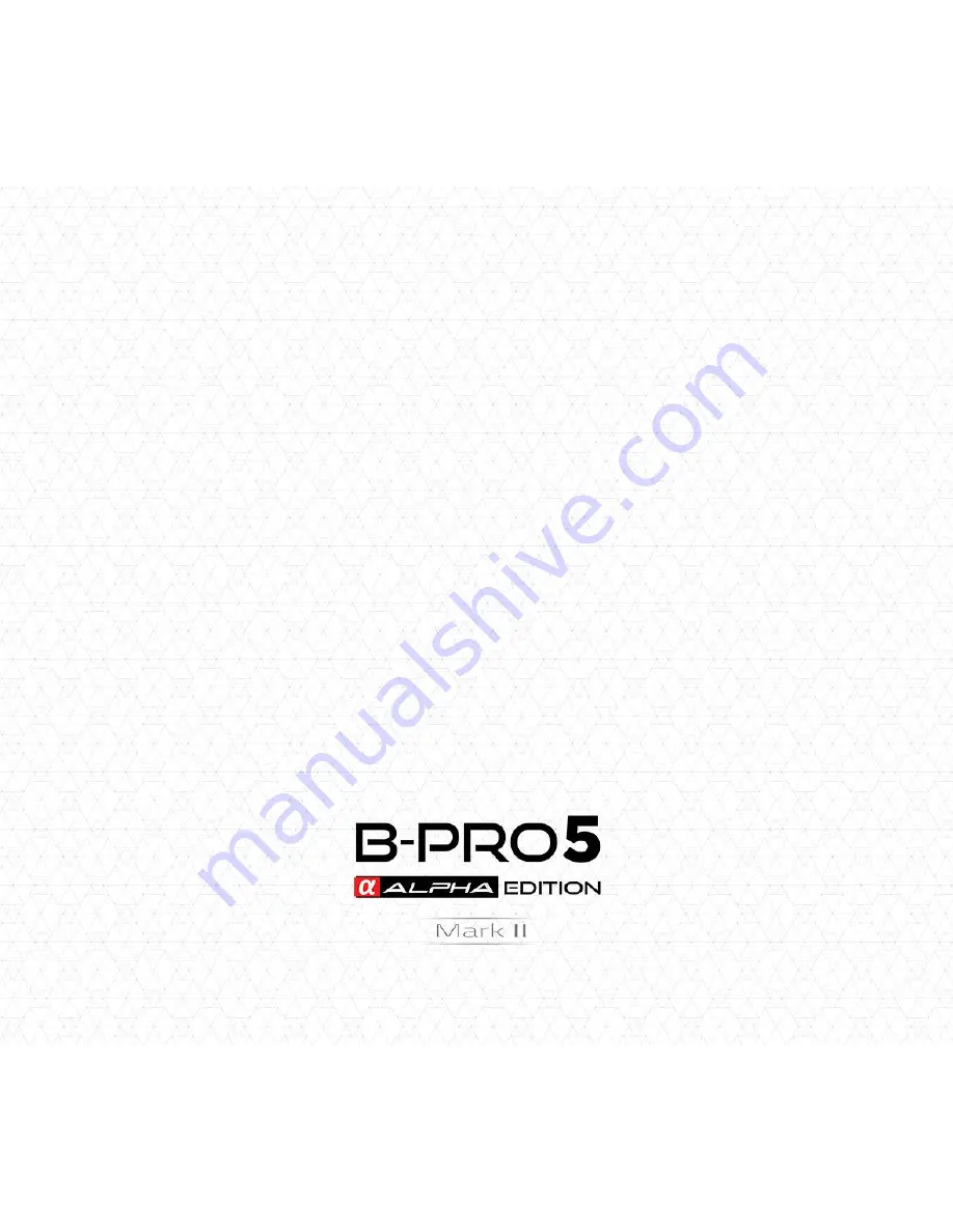 Brica B-PRO5 User Manual Download Page 24