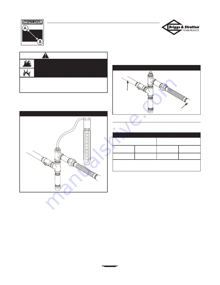 Briggs & Stratton 01975-0 Installation And Owner'S Manual Download Page 13