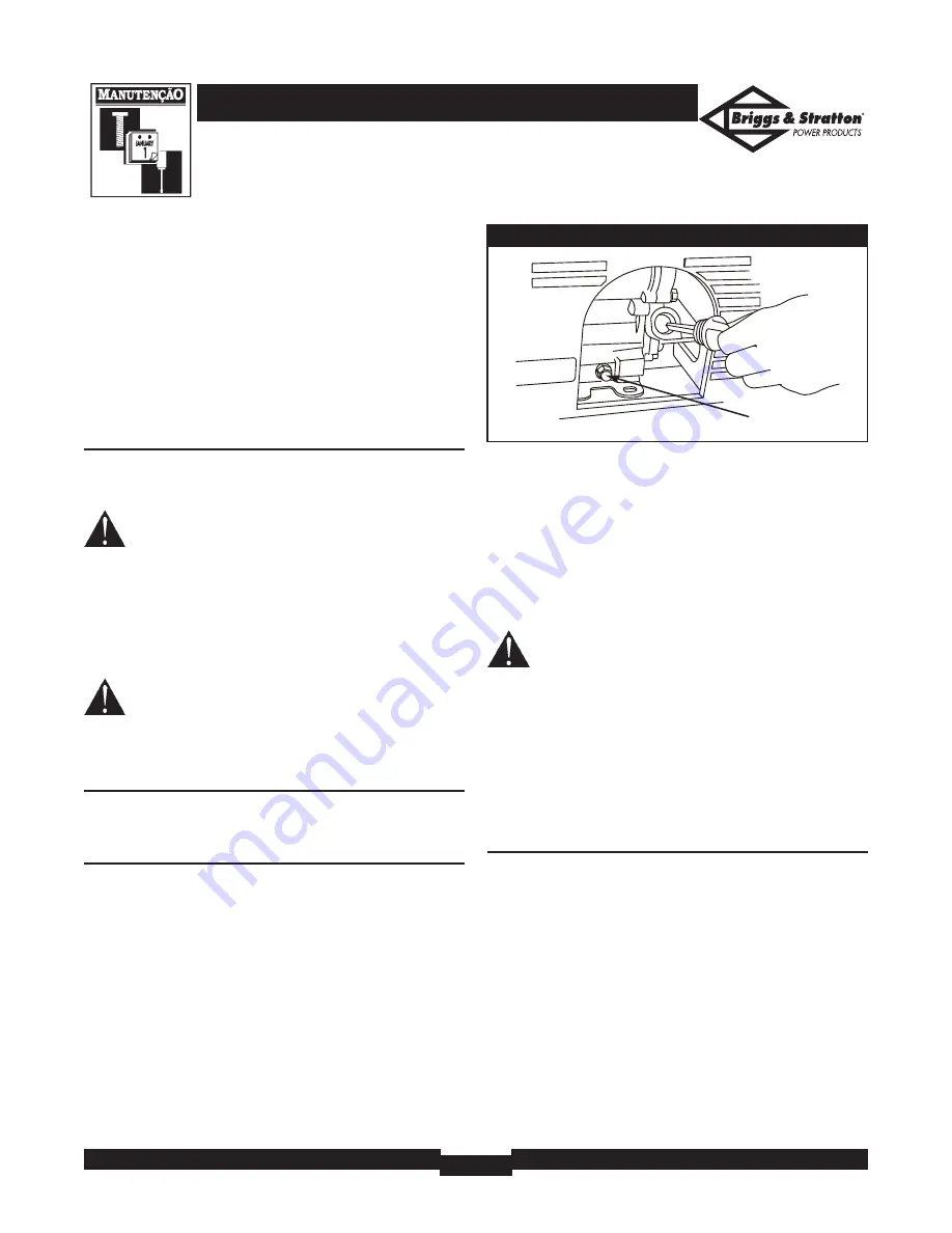 Briggs & Stratton BSQ 1000 Owner'S Manual Download Page 47