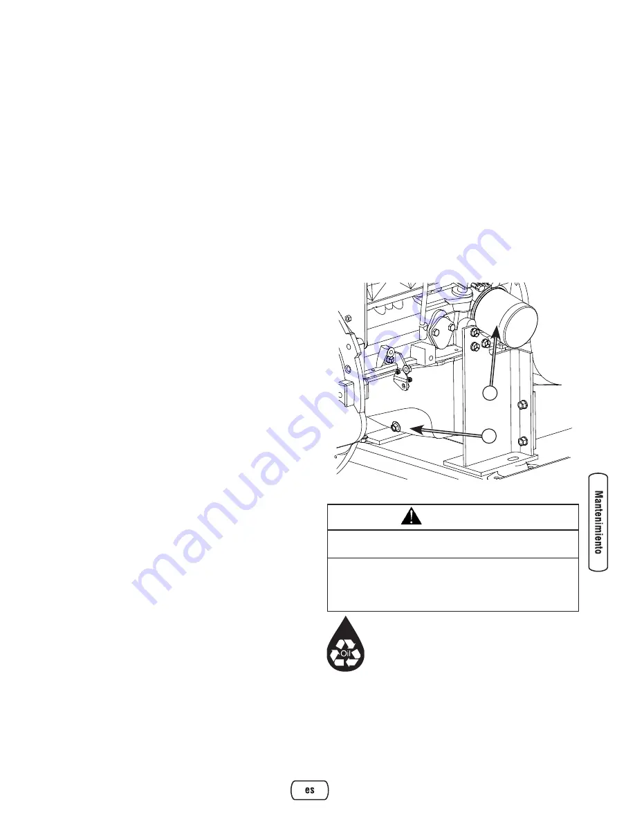 Briggs & Stratton Liquid-Cooled Home Generator System Скачать руководство пользователя страница 39