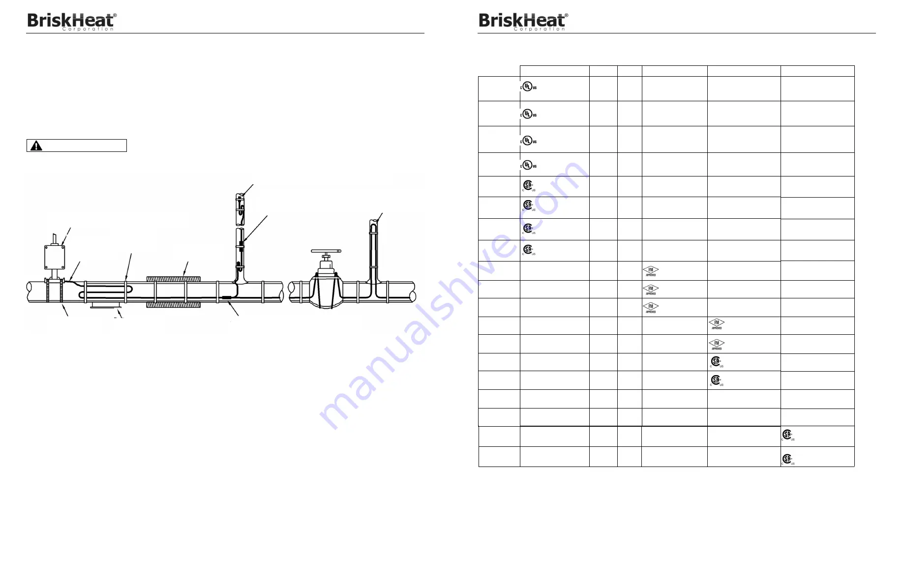 BriskHeat SCHCBL Series Installation & Maintenance Instruction Manual Download Page 38