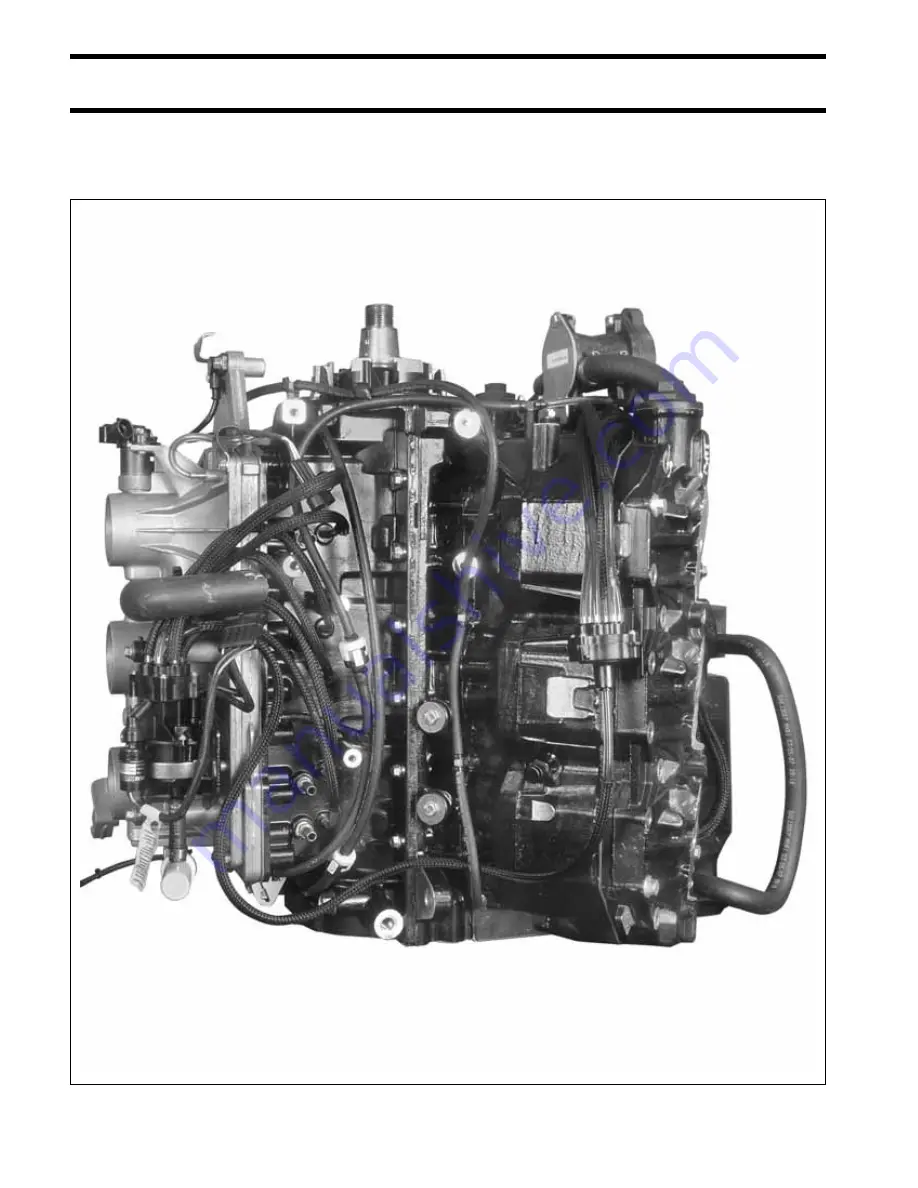 BRP E250DHLSCS Service Manual Download Page 242